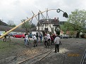 Maibaum DSCN7167_