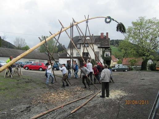 Maibaum DSCN7167_