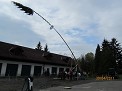 Maibaum DSCN7168_